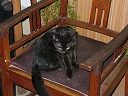 nesia1